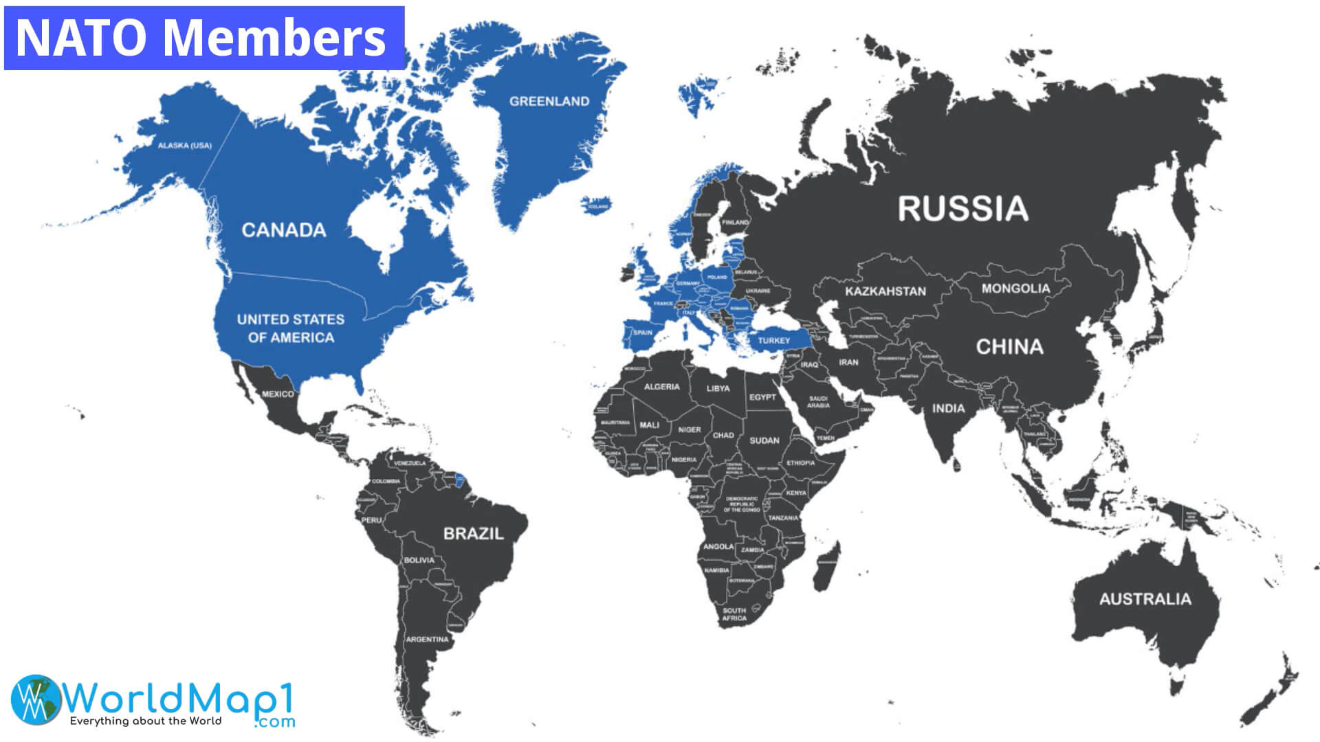 NATO Members with the World Map